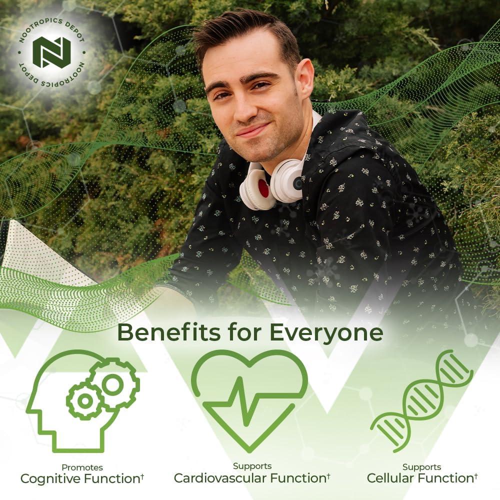 Tabletas Ginkgo Biloba Nootropics Depot 120mg 90 Unidades