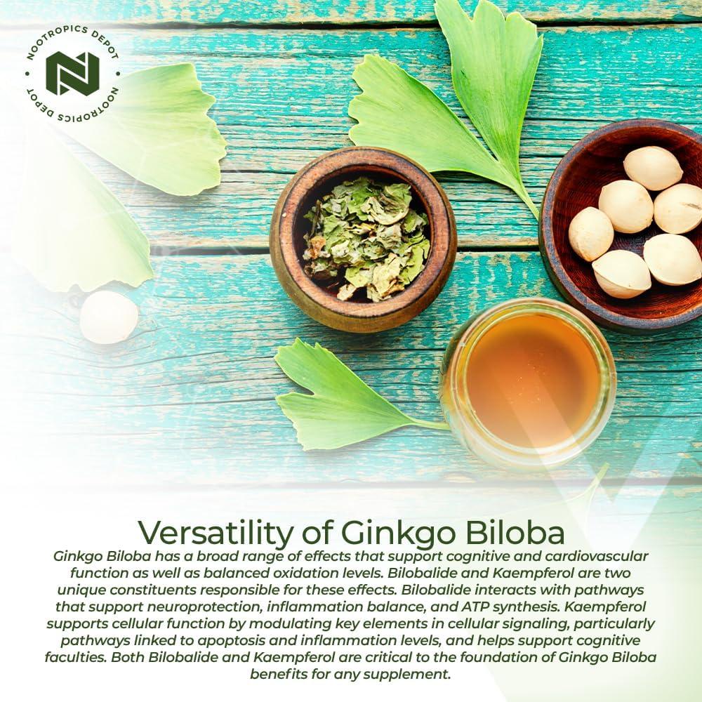 Tabletas Ginkgo Biloba Nootropics Depot 120mg 90 Unidades