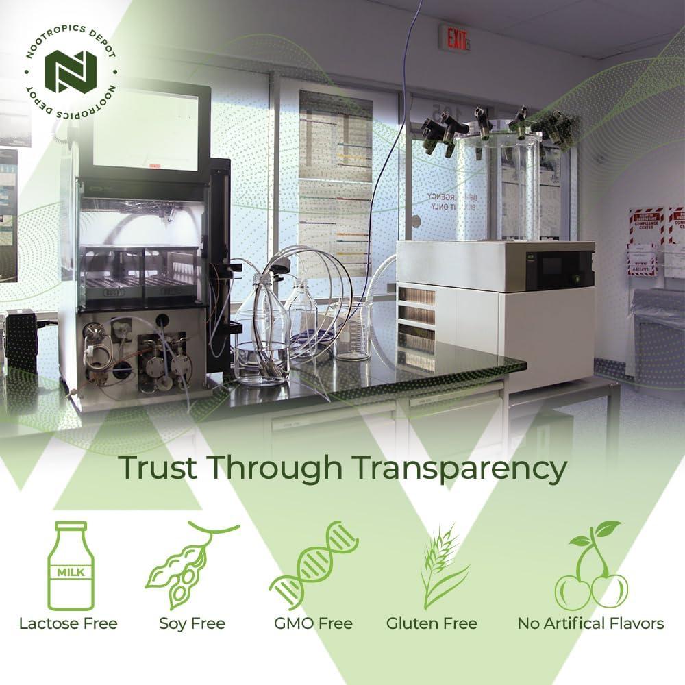 Tabletas Ginkgo Biloba Nootropics Depot 120mg 90 Unidades