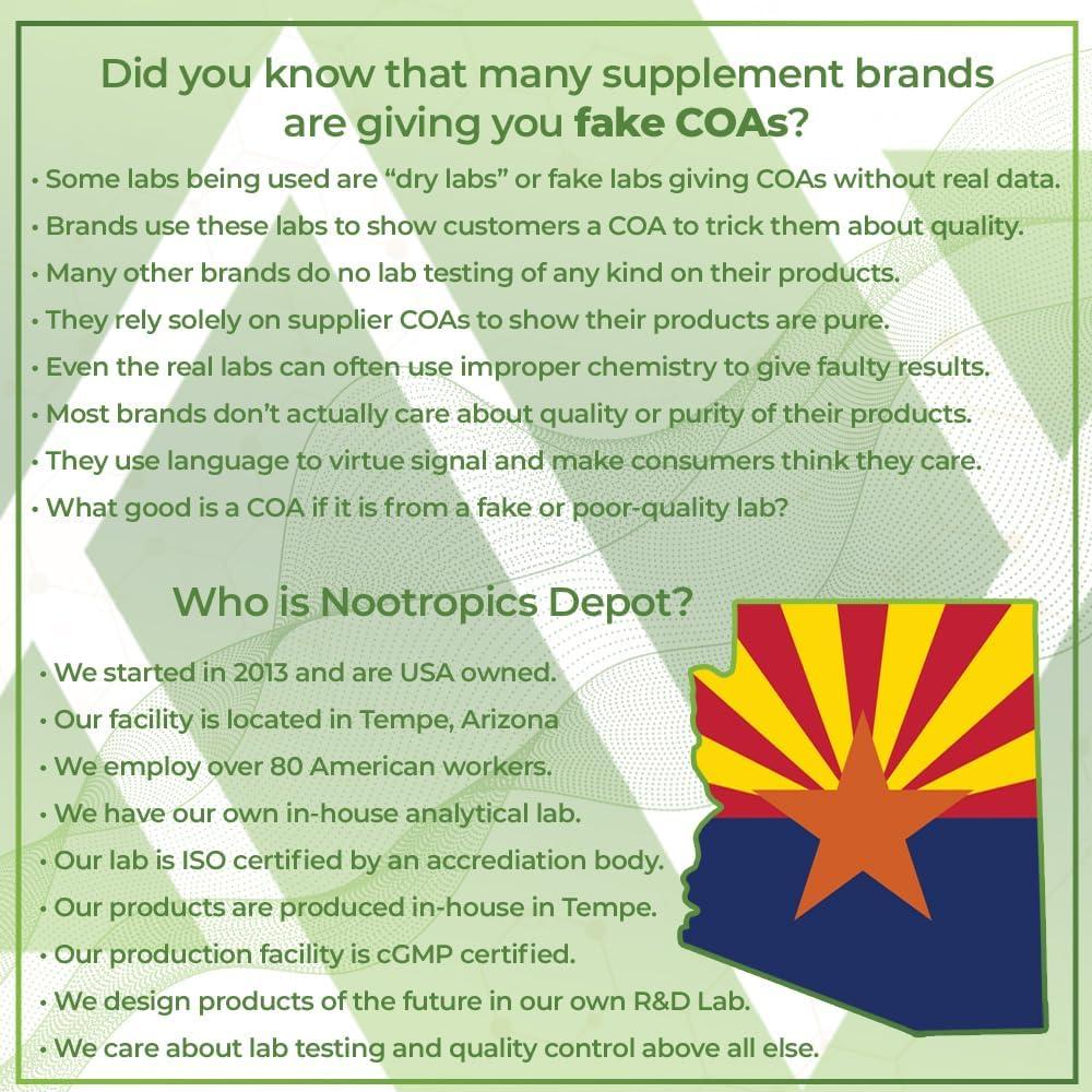 Tabletas Ginkgo Biloba Nootropics Depot 120mg 90 Unidades