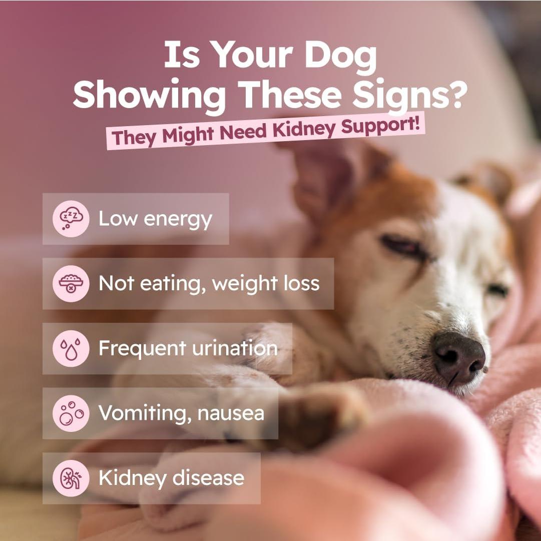 Gotas de Cardo Lechoso Fifth & Fido 59 ml - Suplemento Hepático