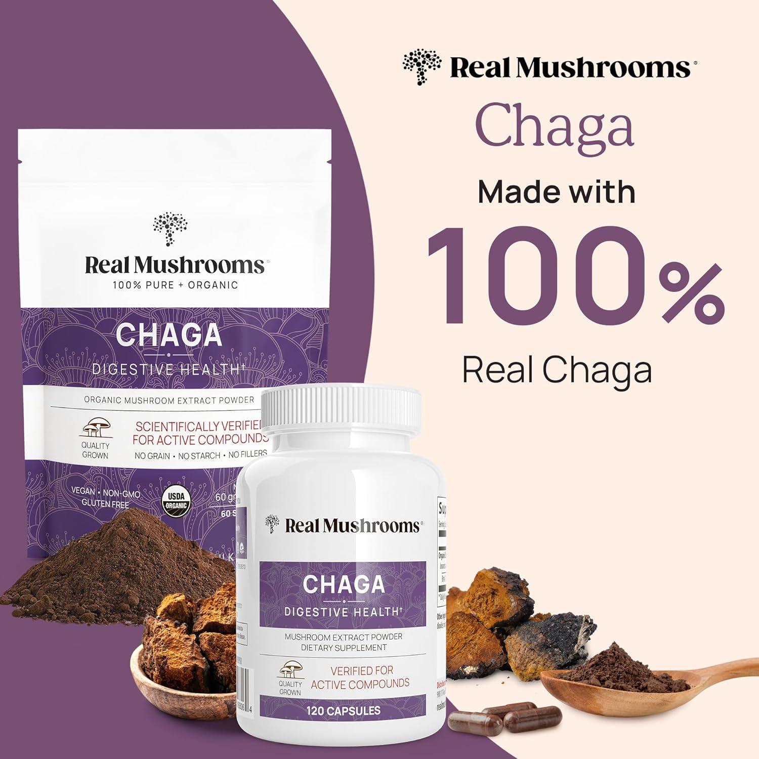 Polvo de Hongo Chaga Real Mushrooms 60g Orgánico Vegano