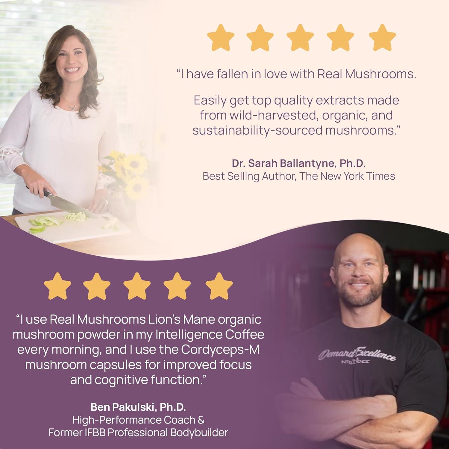 Polvo de Hongo Chaga Real Mushrooms 60g Orgánico Vegano