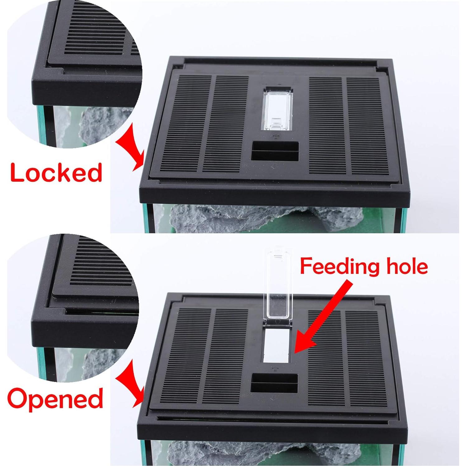 Terrario de Vidrio Crapelles para Arañas y Insectos 19.81x19.81cm