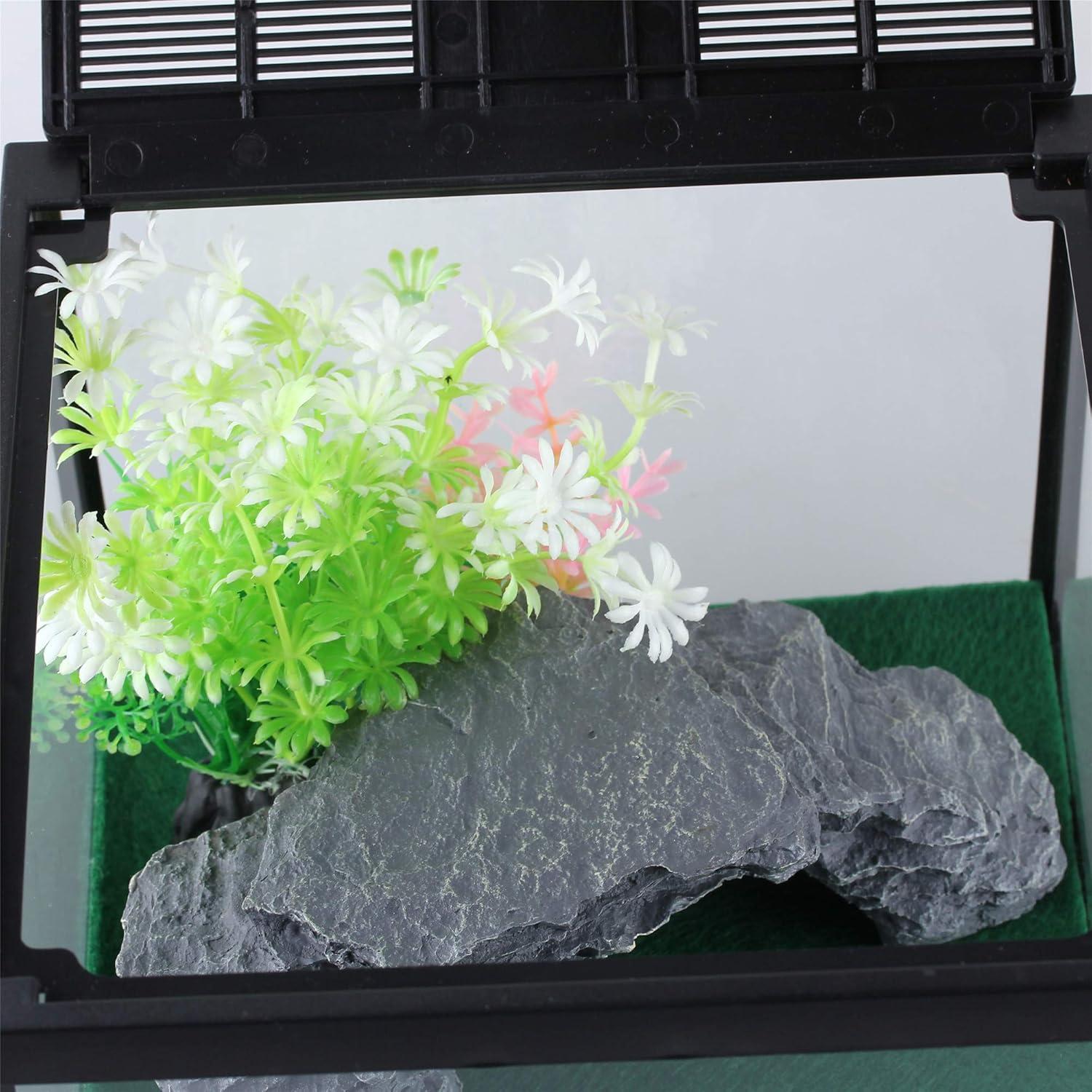 Terrario de Vidrio Crapelles para Arañas y Insectos 19.81x19.81cm