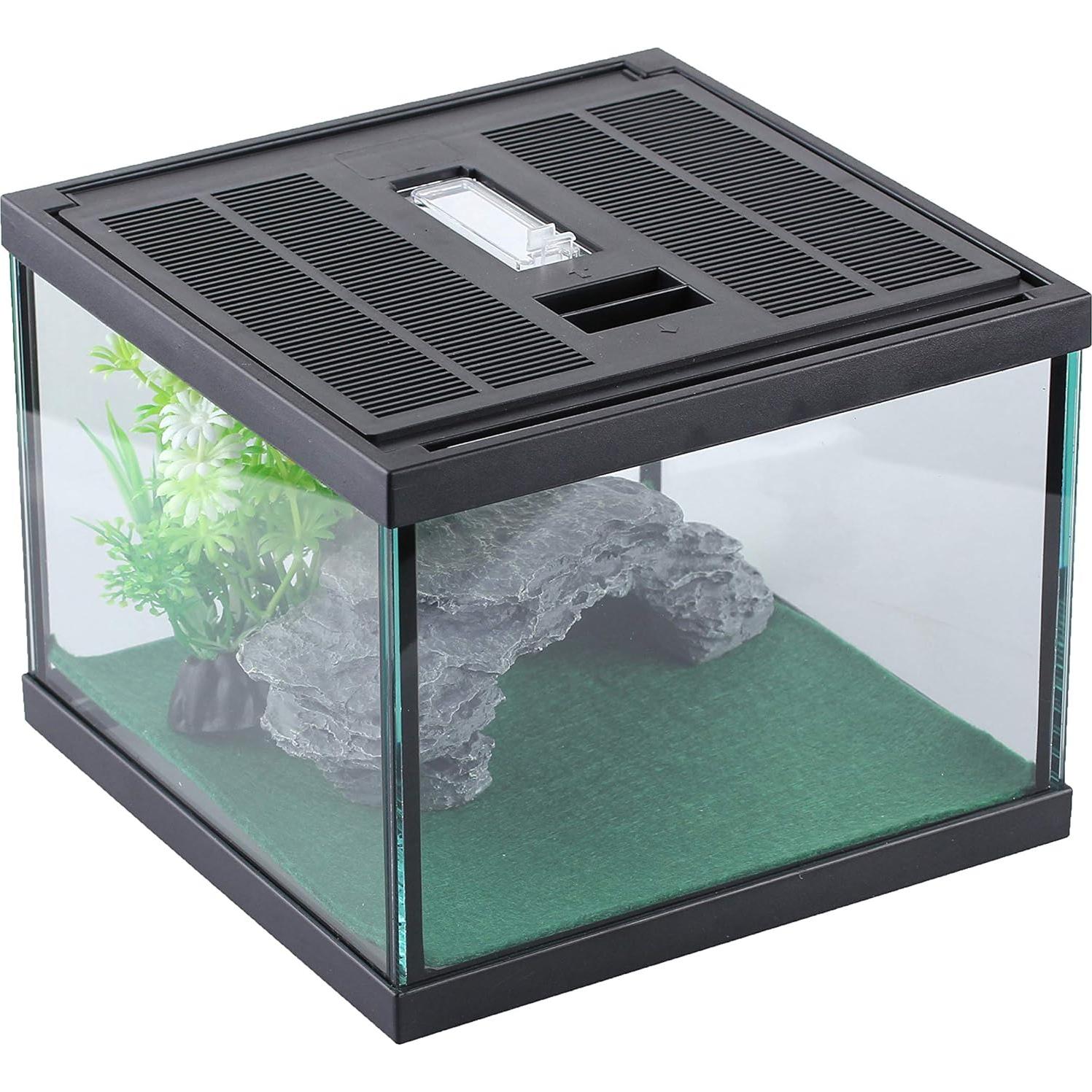 Terrario de Vidrio Crapelles para Arañas y Insectos 19.81x19.81cm