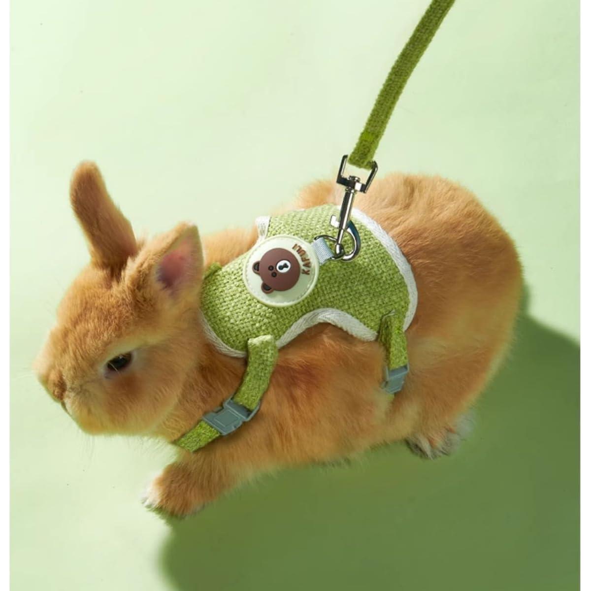 Conjunto Arnés y Correa Ajustable Copfeu para Conejos Azul