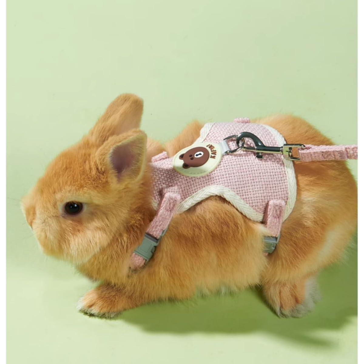 Conjunto Arnés y Correa Ajustable Copfeu para Conejos Azul