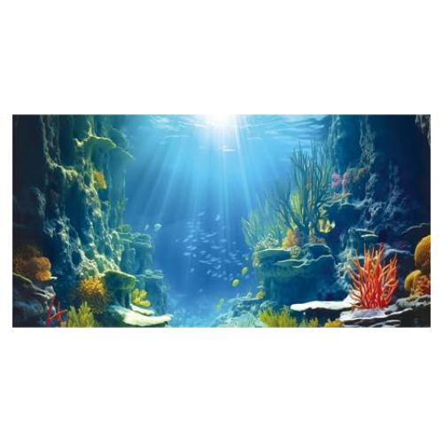 Fondo de Acuario 3D Azul Dtekoj 60x30cm con Cintas EVA