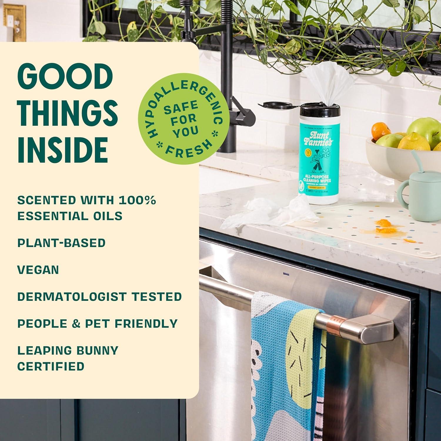 Toallitas de Limpieza de Vinagre Natural Aunt Fannie Eucalipto 35 Unidades