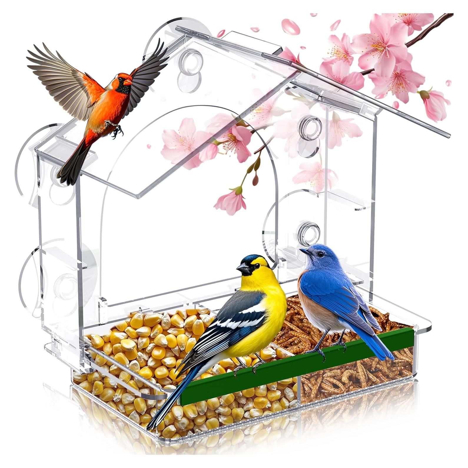 Comedero para Aves GelinRedcap con 5 Ventosas Fuertes 25.4x12.7cm