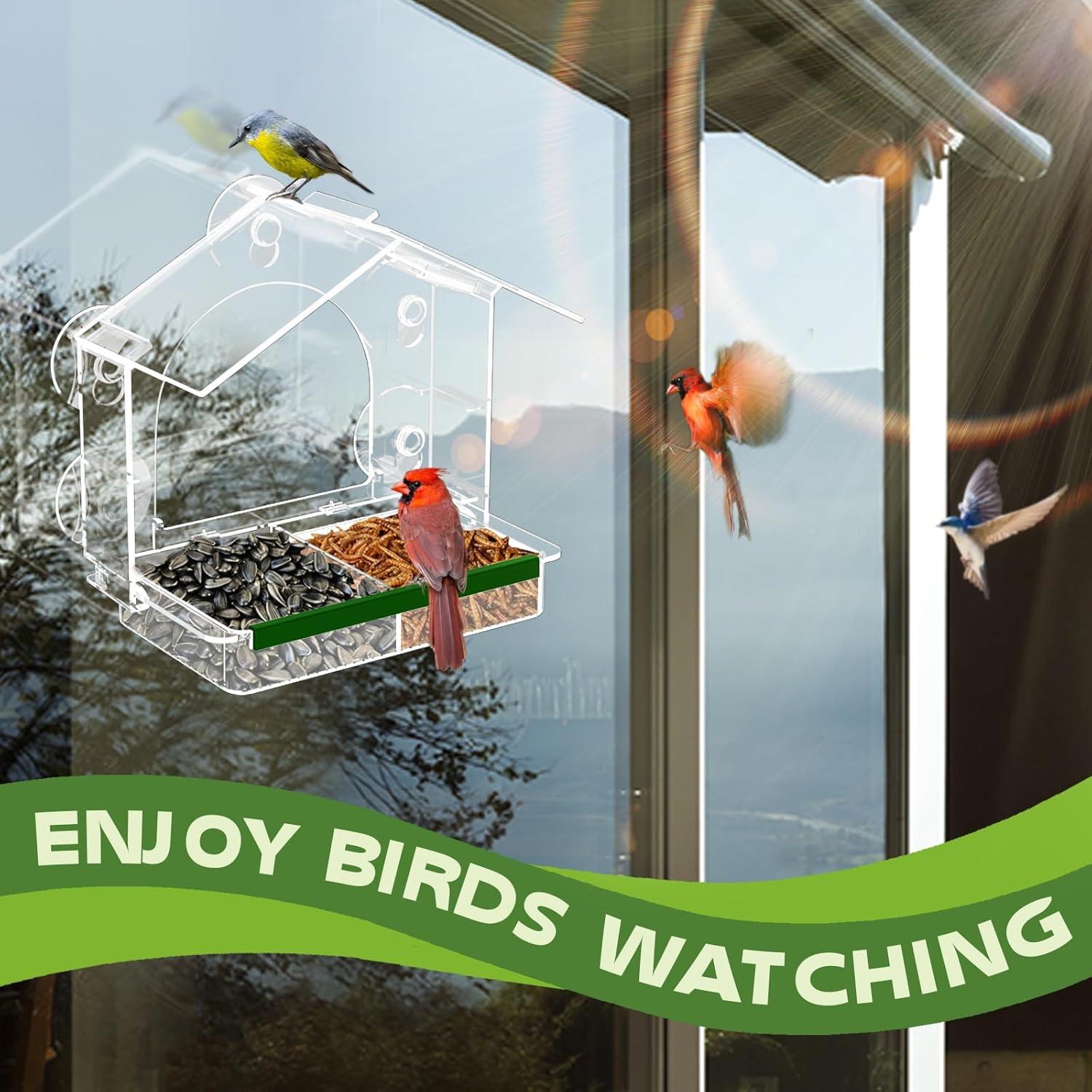 Comedero para Aves GelinRedcap con 5 Ventosas Fuertes 25.4x12.7cm