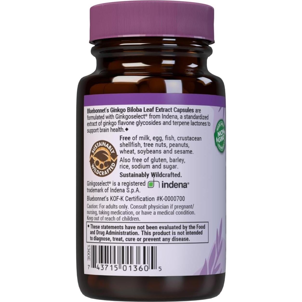 Suplemento Ginkgo Biloba BlueBonnet 30 Cápsulas Veganas