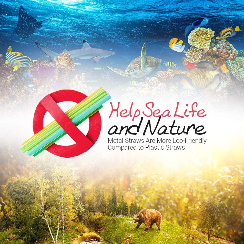 Pajitas de Acero Inoxidable Dobladas SipWell 21.5 cm - 4 Unidades