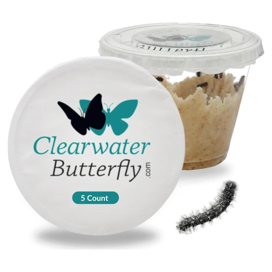 Kit de Mariposas Vivas Clearwater - 5 Orugas Pintadas