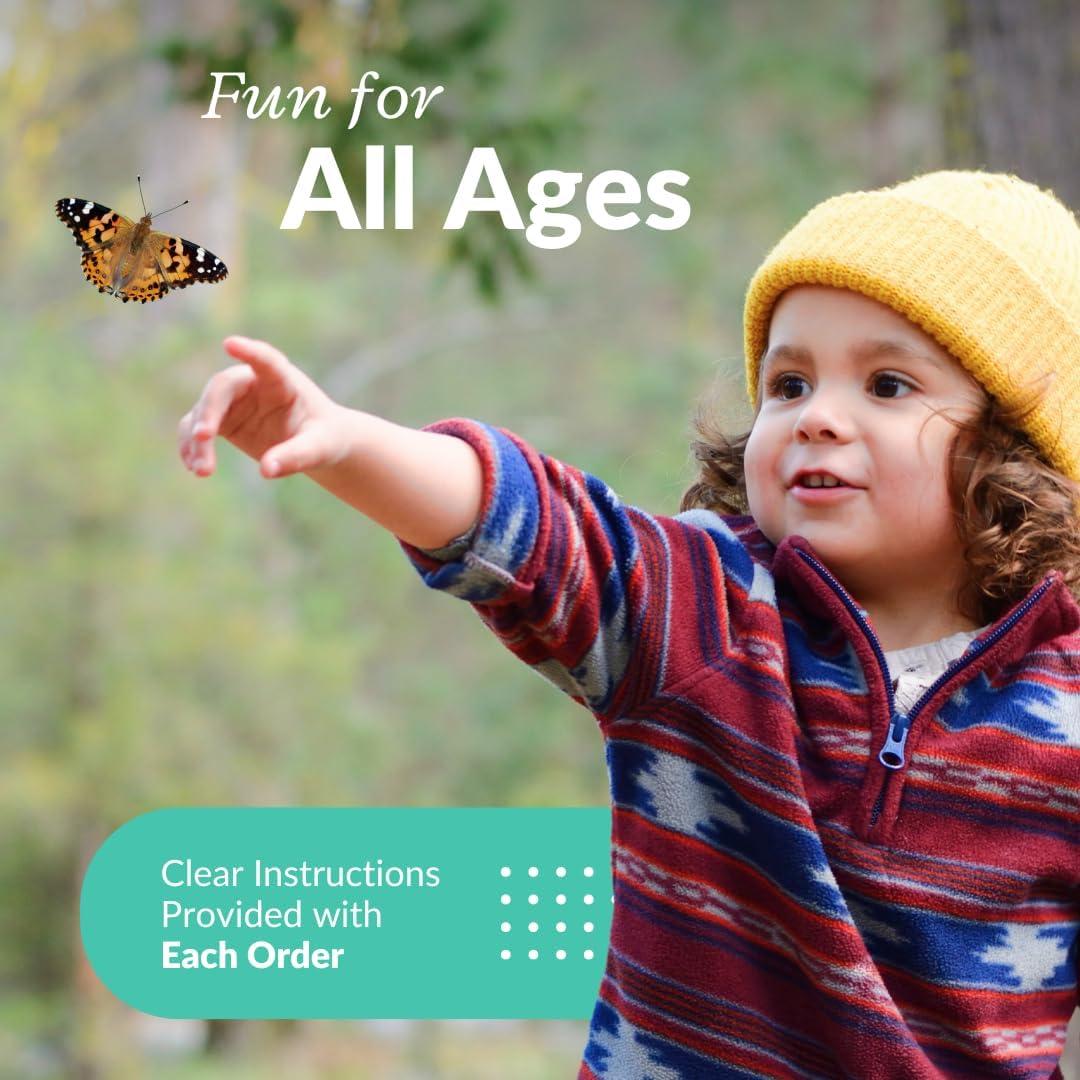 Kit de Mariposas Vivas Clearwater - 5 Orugas Pintadas