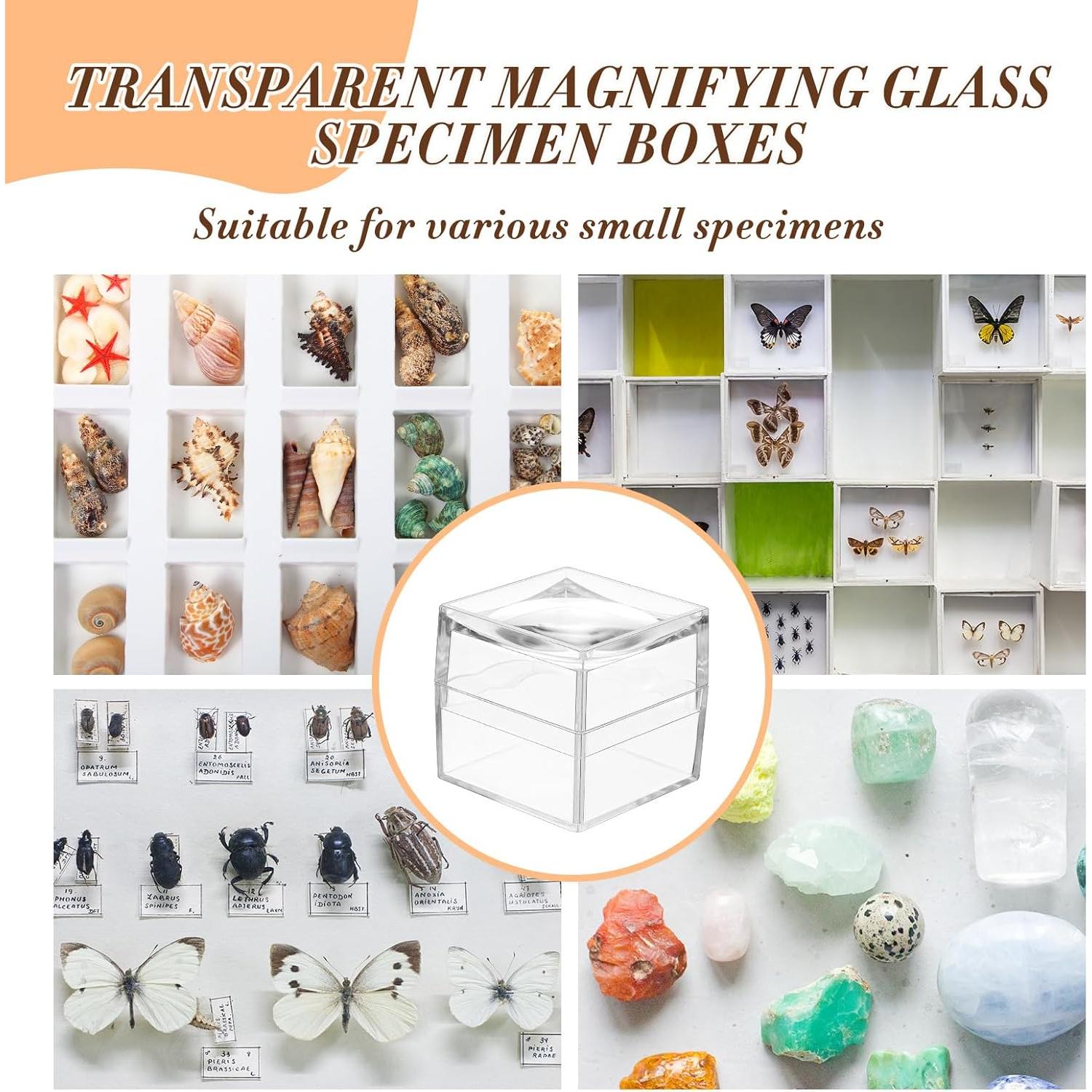 Paquete de 10 cajas de exhibición de rocas 4x4 cm DoubleFill