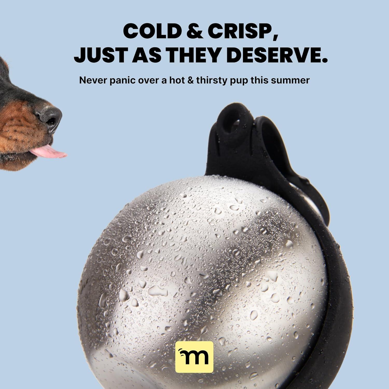 Botella de Agua para Perros MalsiPree 295 ml Aislada Negra