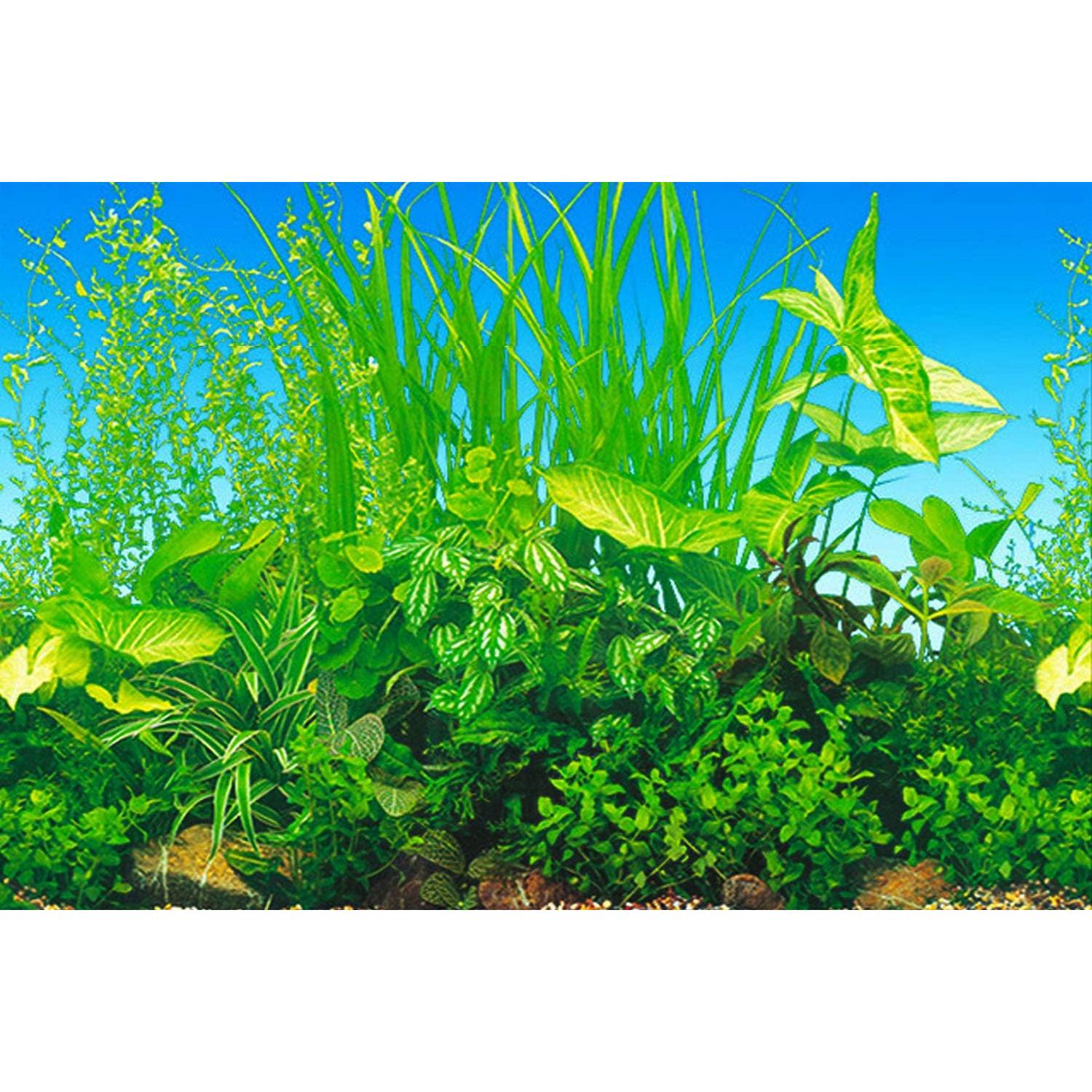 Fondo de Acuario Doble Cara ELEBOX 101.6x40 cm PVC Impermeable