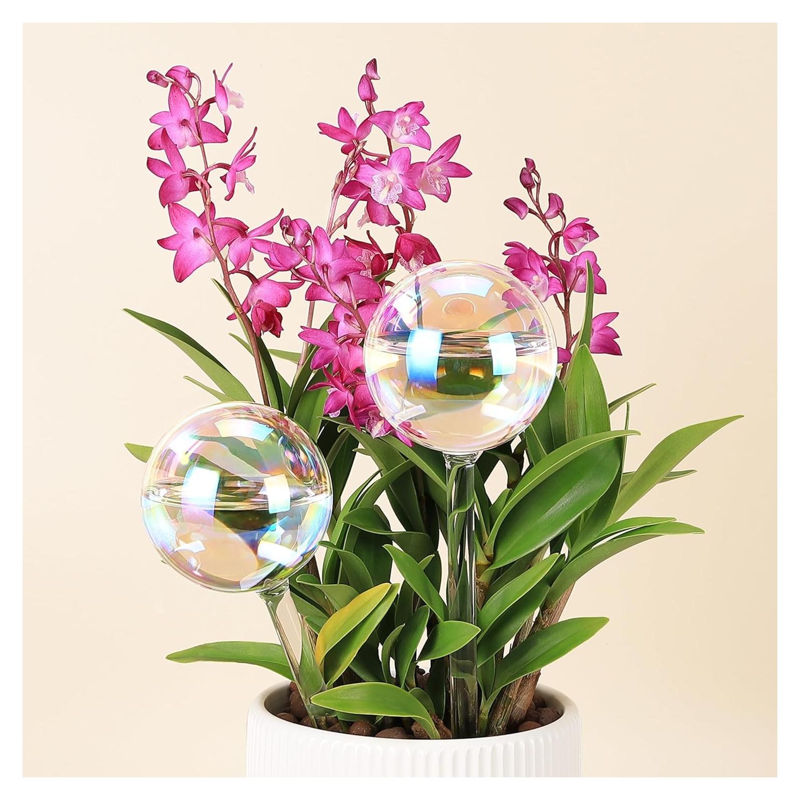 Esferas de Autorriego de Vidrio Iridiscente Soilagua 6.4 oz - Paquete de 2