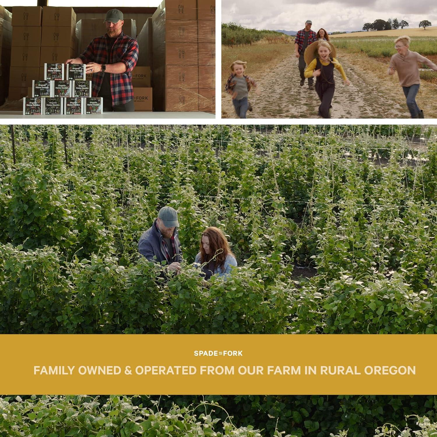 Kit de Jardín de Flores Comestibles Spade To Fork - 23 Piezas