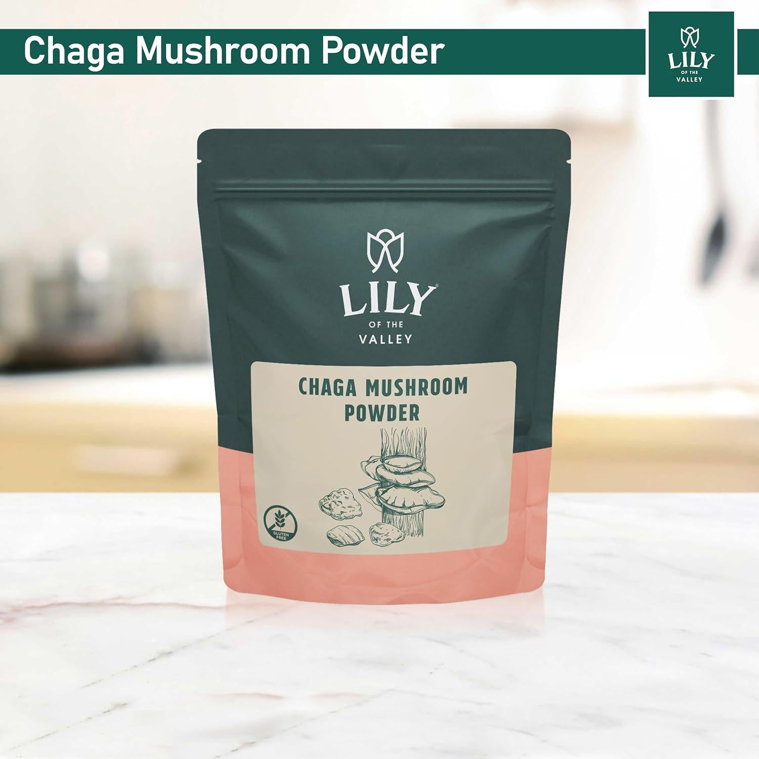Polvo de Hongo Chaga LIRIO DEL VALLE 226g - Superalimento Vegano