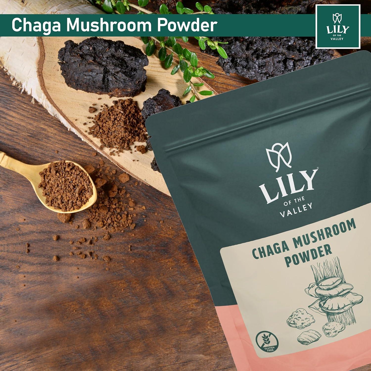 Polvo de Hongo Chaga LIRIO DEL VALLE 226g - Superalimento Vegano