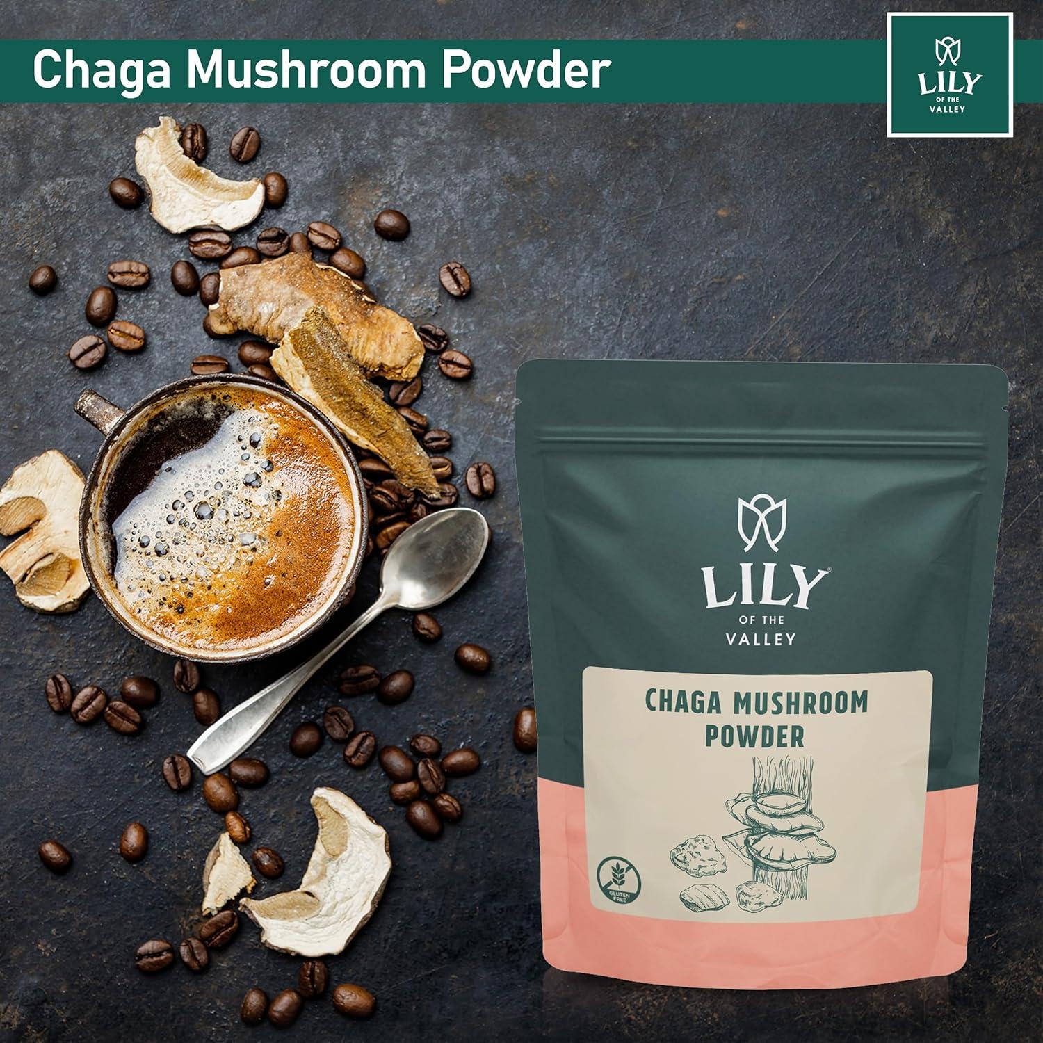 Polvo de Hongo Chaga LIRIO DEL VALLE 226g - Superalimento Vegano