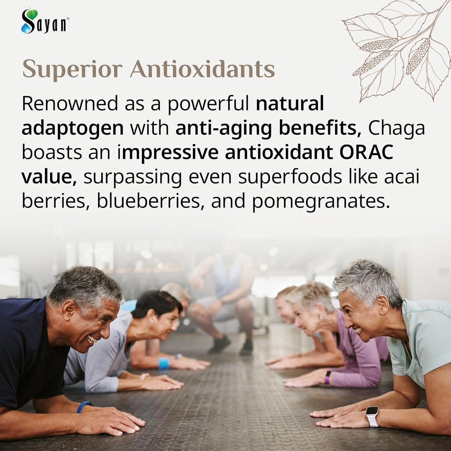 Polvo Grueso de Chaga Sayan 113g - Té Antioxidante Orgánico