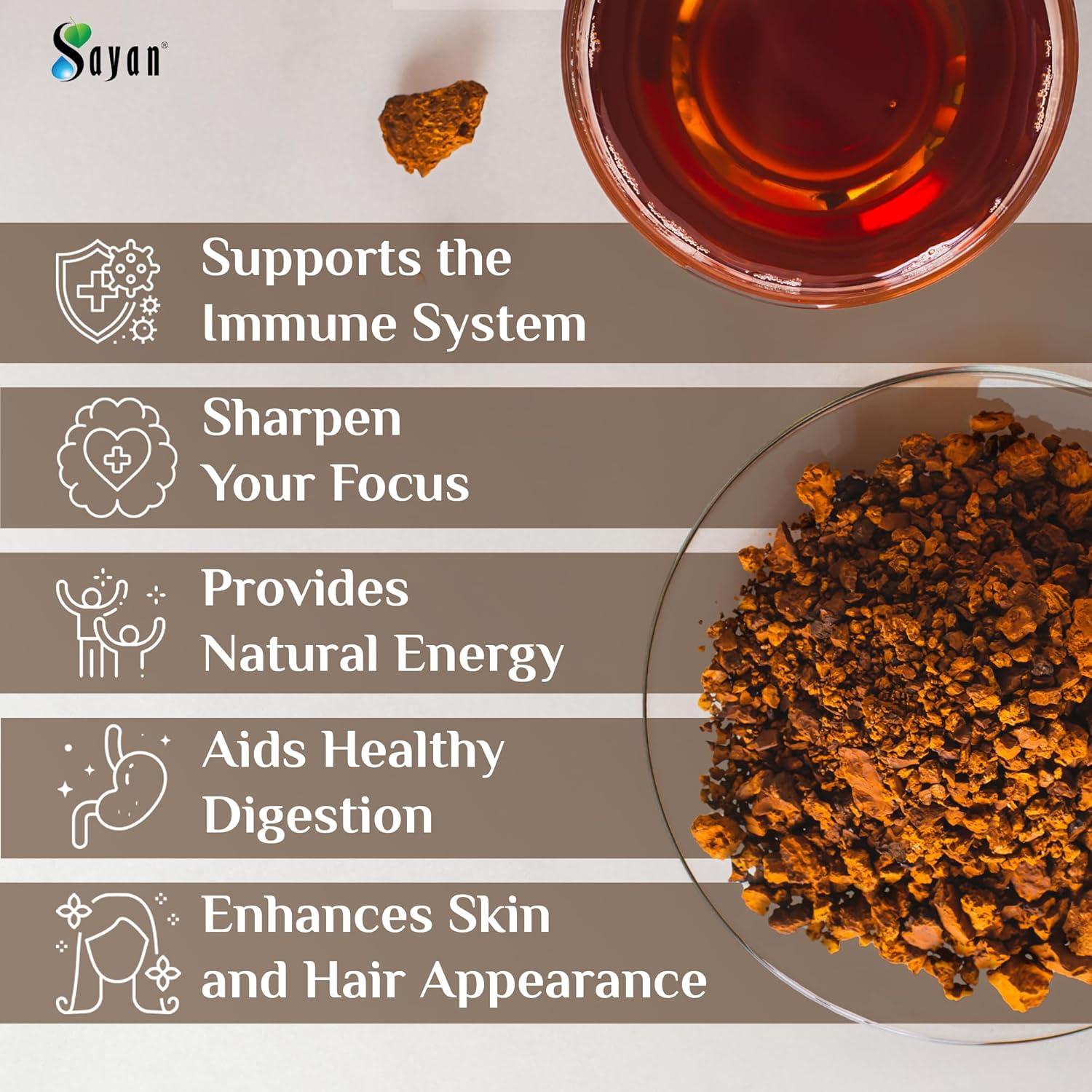 Polvo Grueso de Chaga Sayan 113g - Té Antioxidante Orgánico