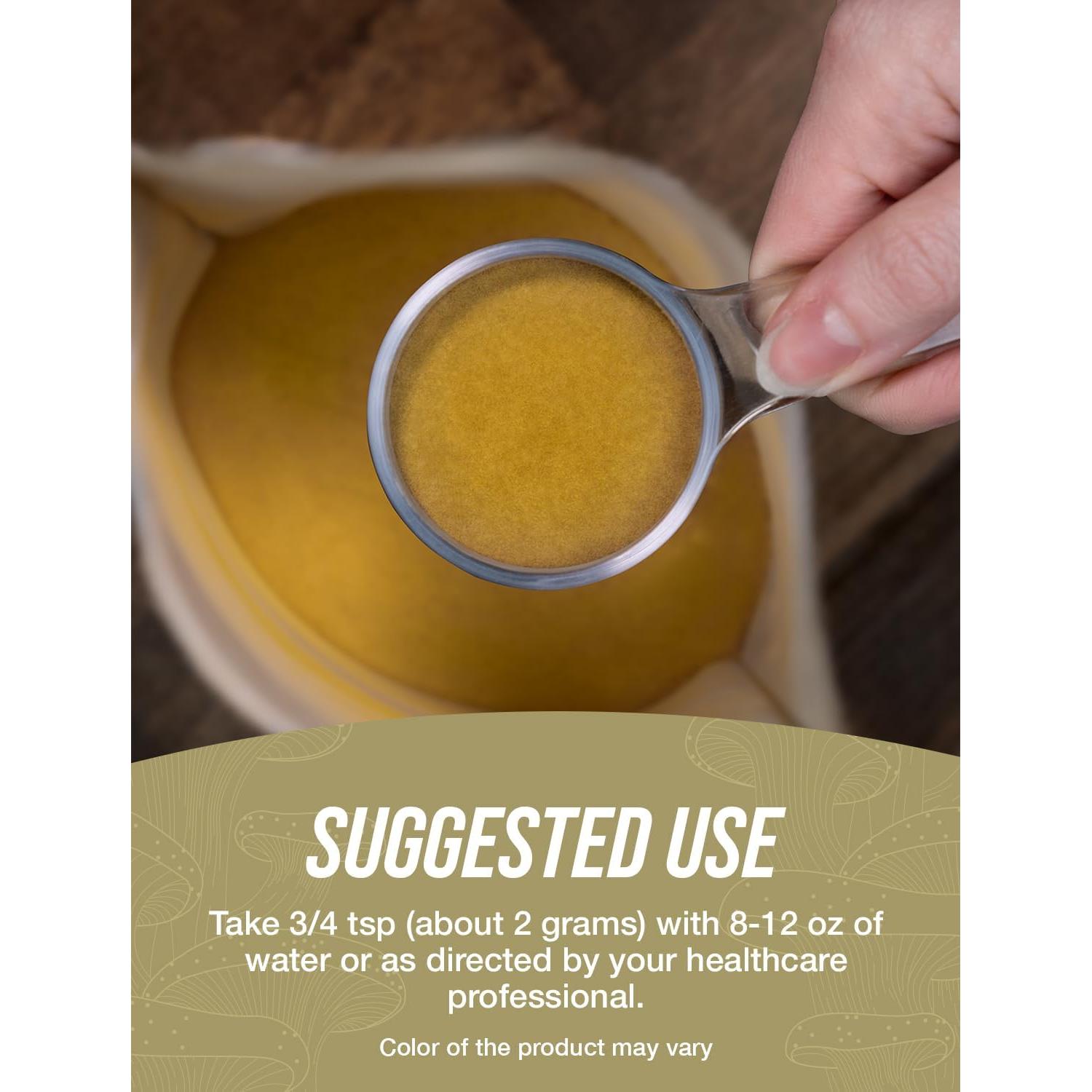 Extracto de Hongo Cordyceps en Polvo BulkSupplements 500g