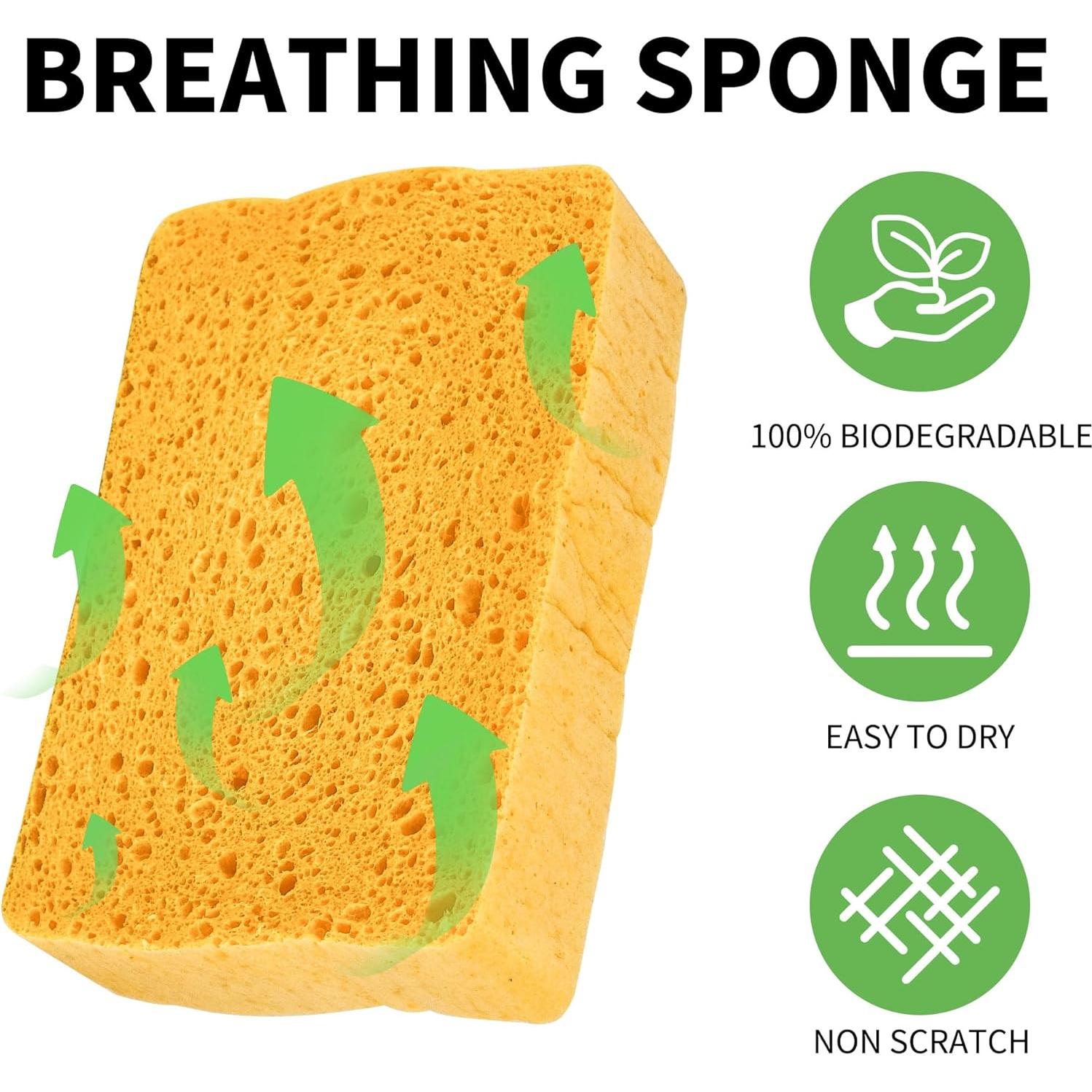 Esponjas Compostables Kickleen Pop-Up 10 Unidades 12.7x8.9 cm