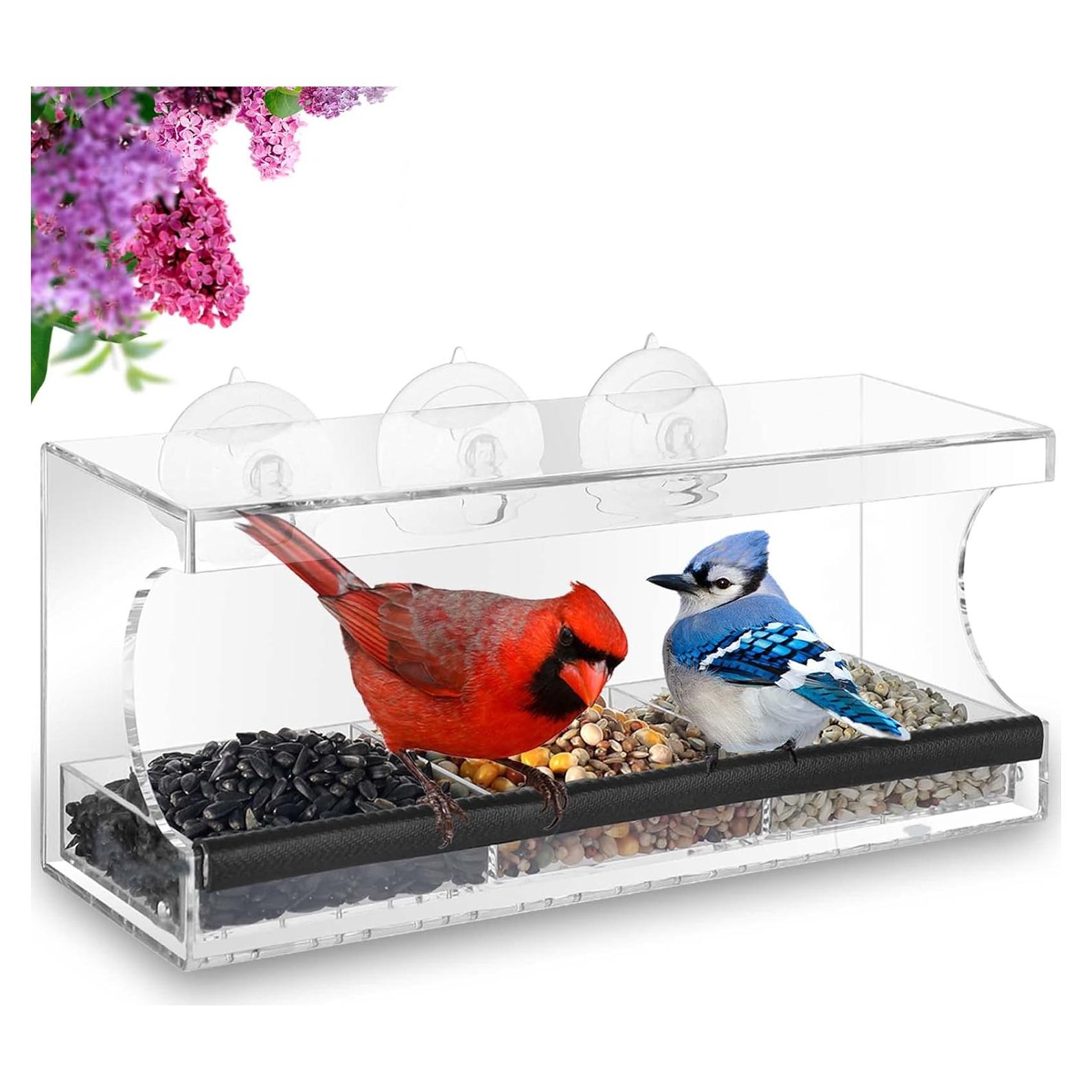 Comedero para Aves de Ventana Mrcrafts 30x10 cm con Ventosas