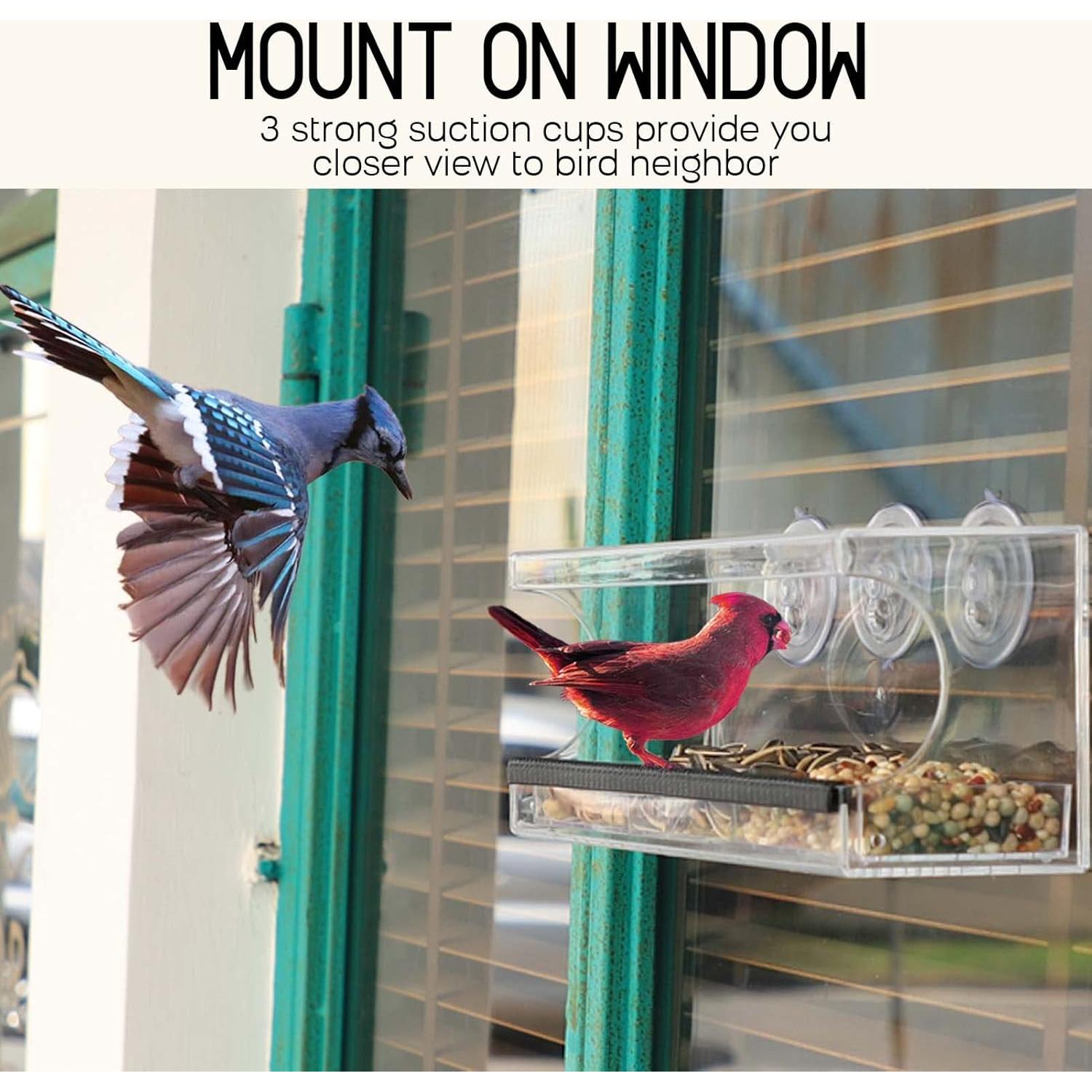 Comedero para Aves de Ventana Mrcrafts 30x10 cm con Ventosas
