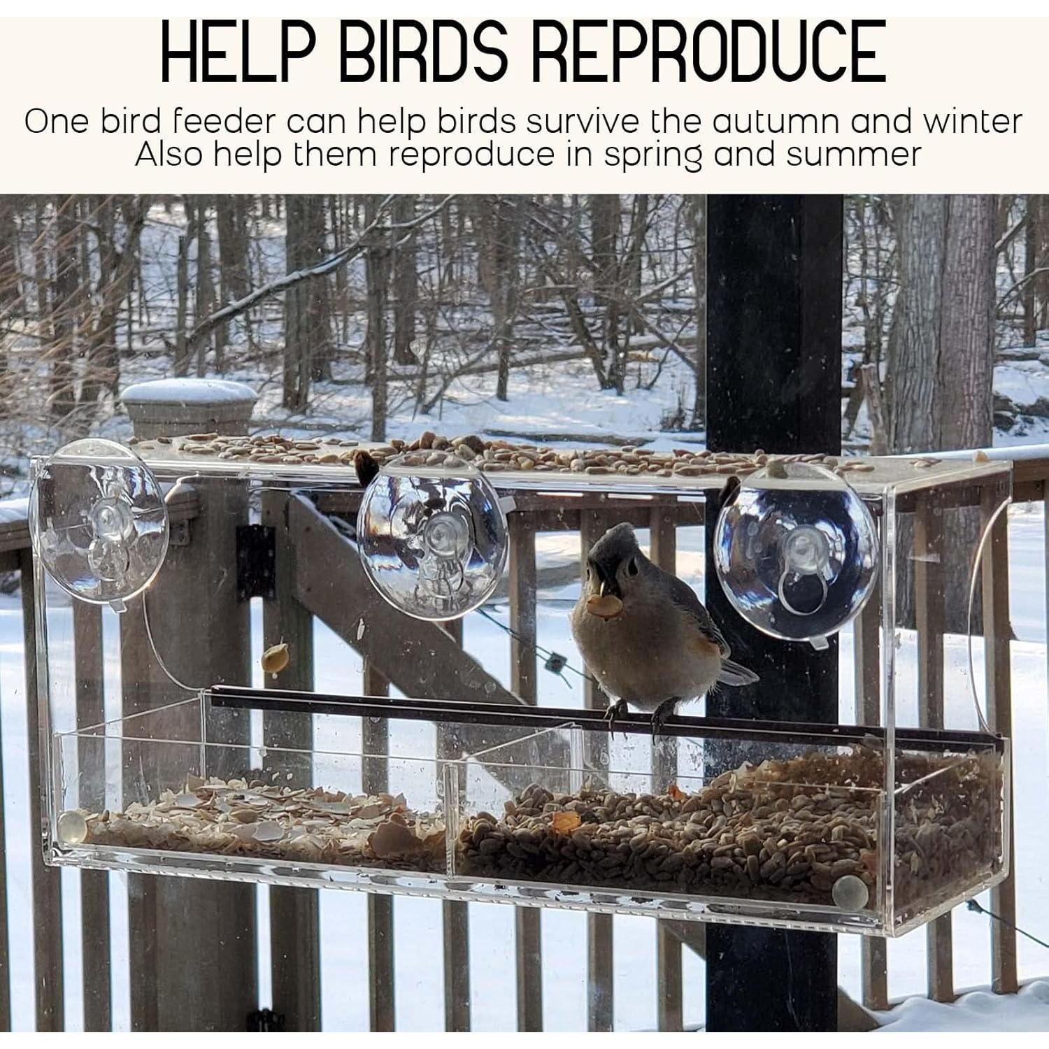 Comedero para Aves de Ventana Mrcrafts 30x10 cm con Ventosas