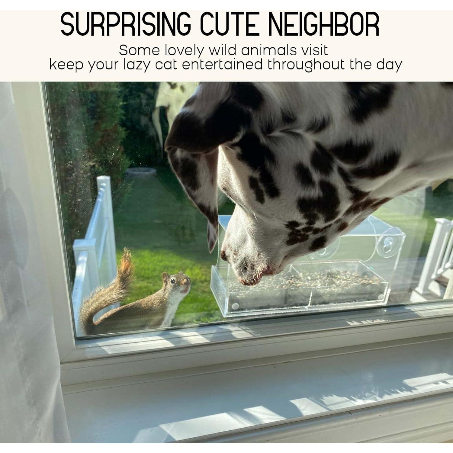 Comedero para Aves de Ventana Mrcrafts 30x10 cm con Ventosas