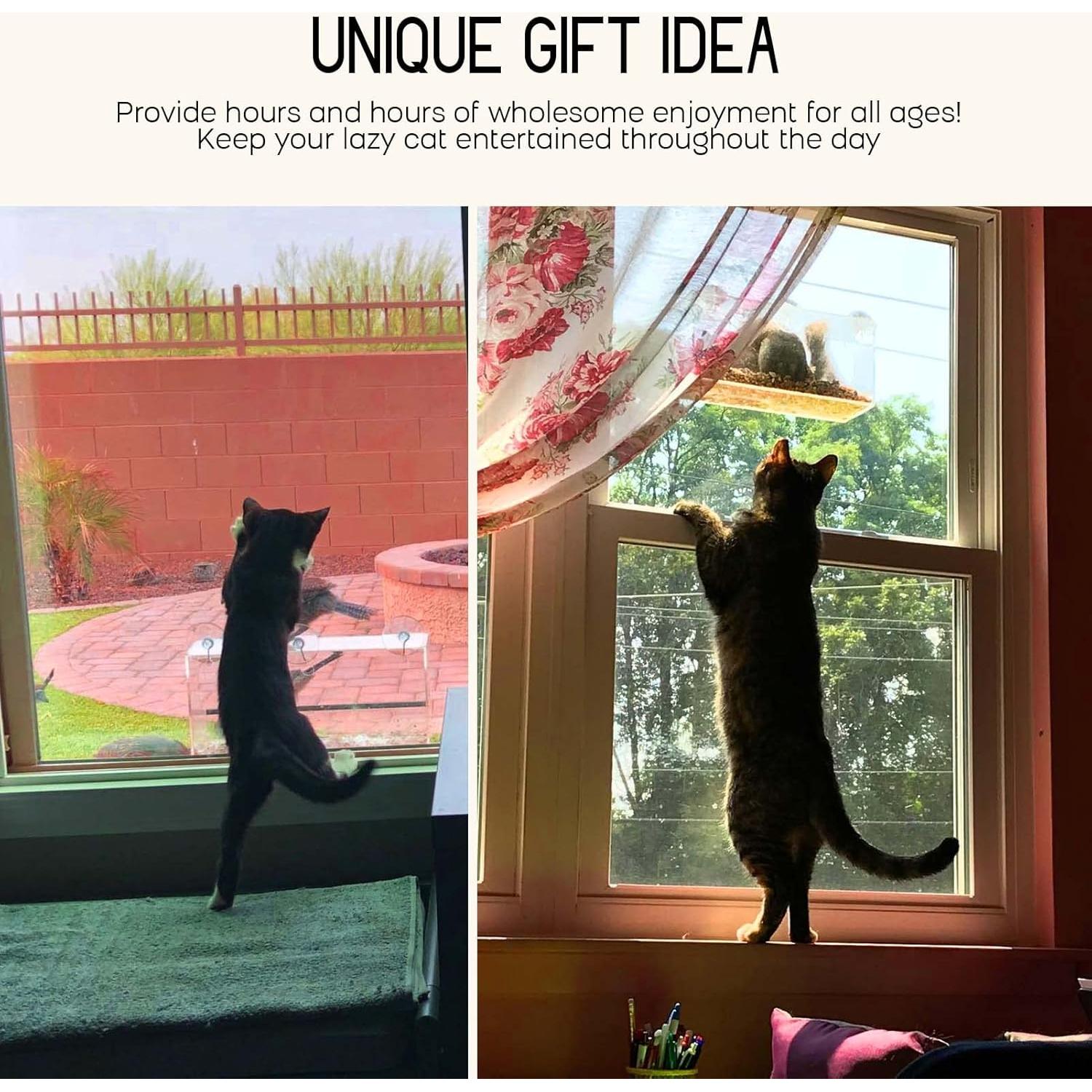 Comedero para Aves de Ventana Mrcrafts 30x10 cm con Ventosas