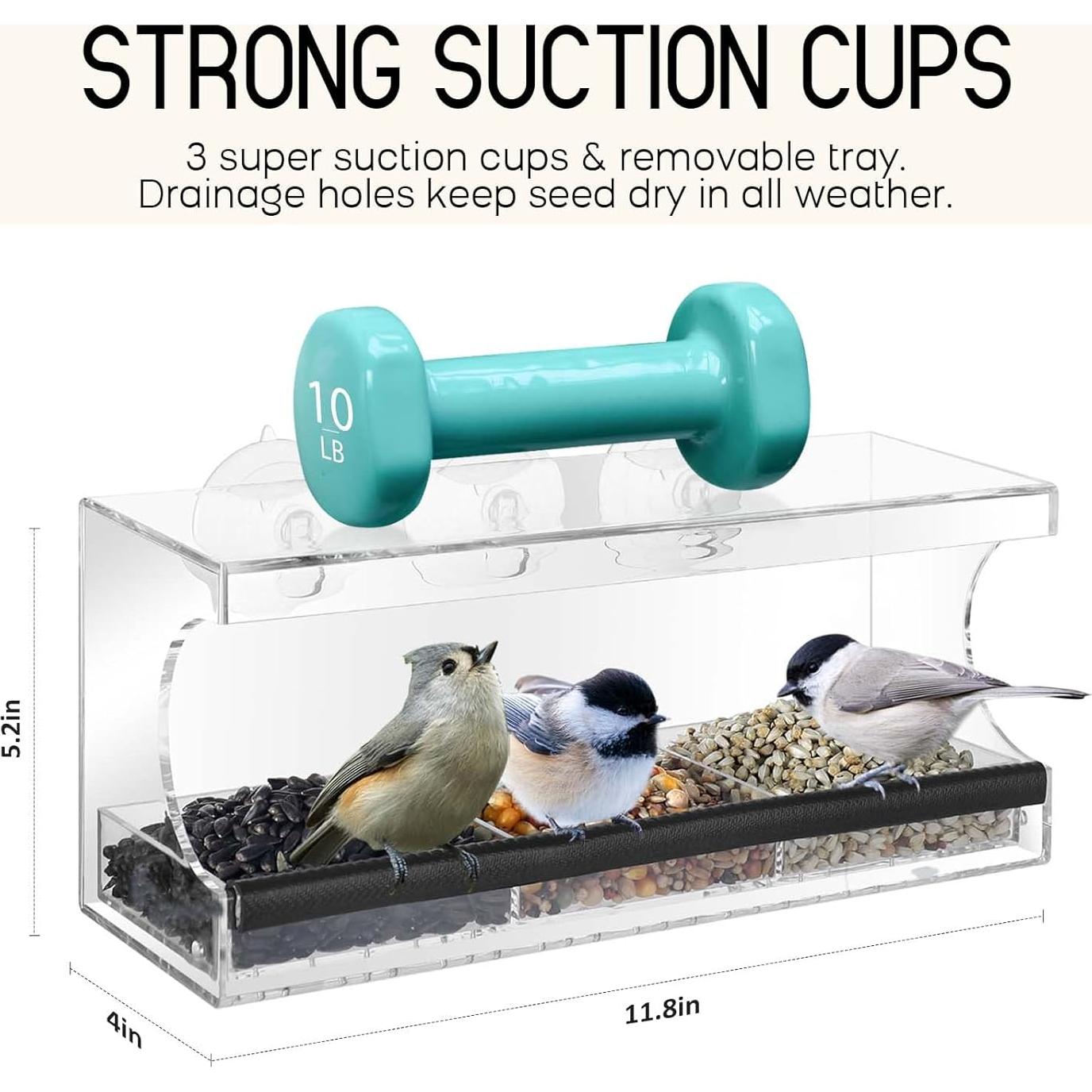 Comedero para Aves de Ventana Mrcrafts 30x10 cm con Ventosas