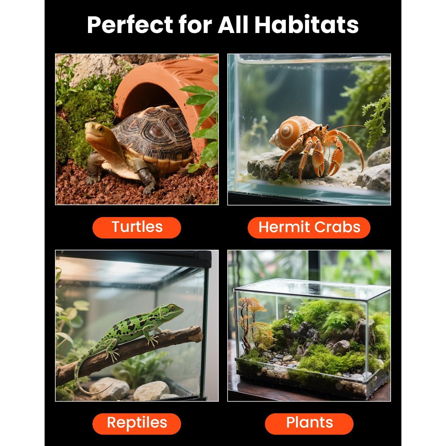 Estera Calefactora para Reptiles MQ 5W con Termómetro Digital