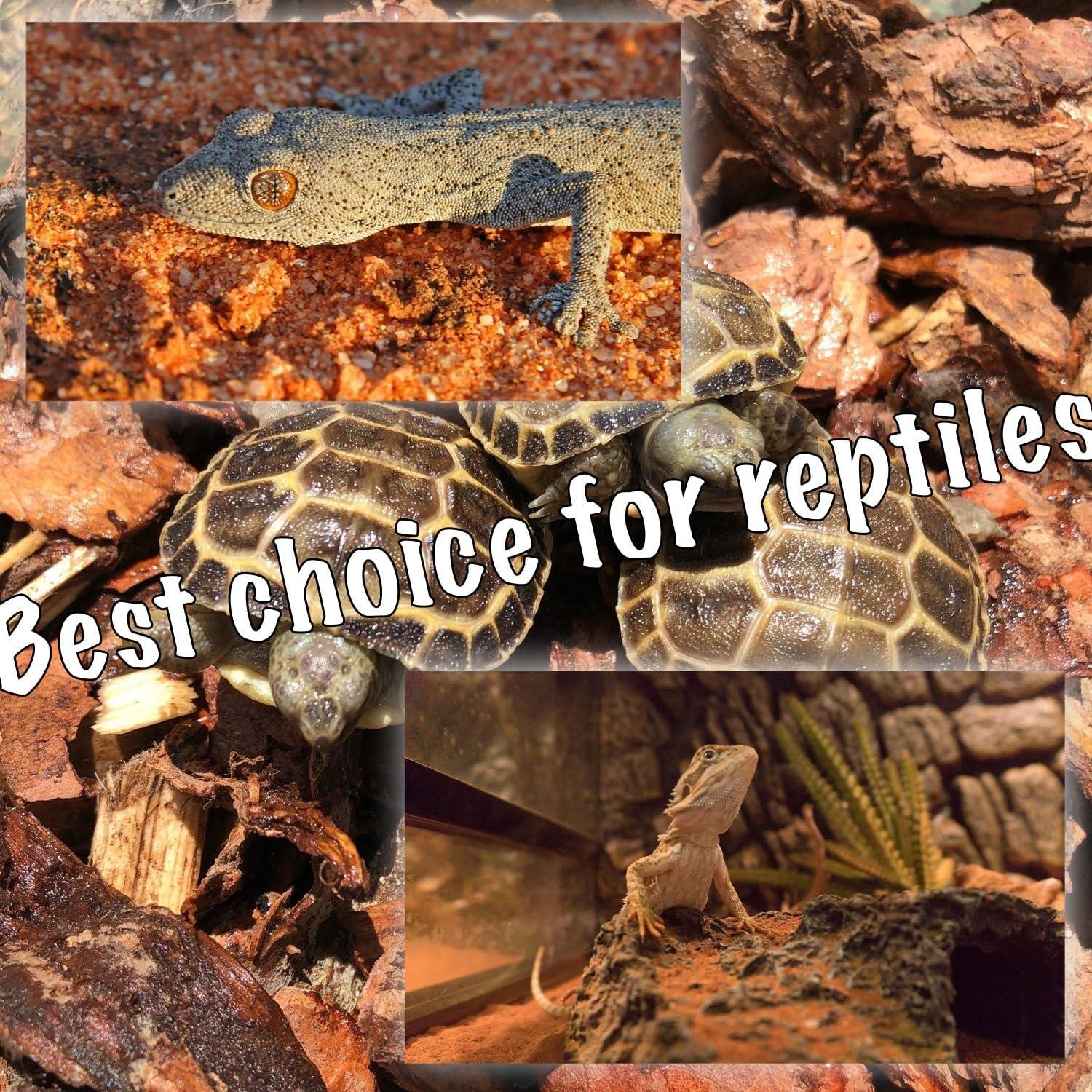 Lámpara de Calor Roja ReptiKing 75W Paquete de 2 Bombillas