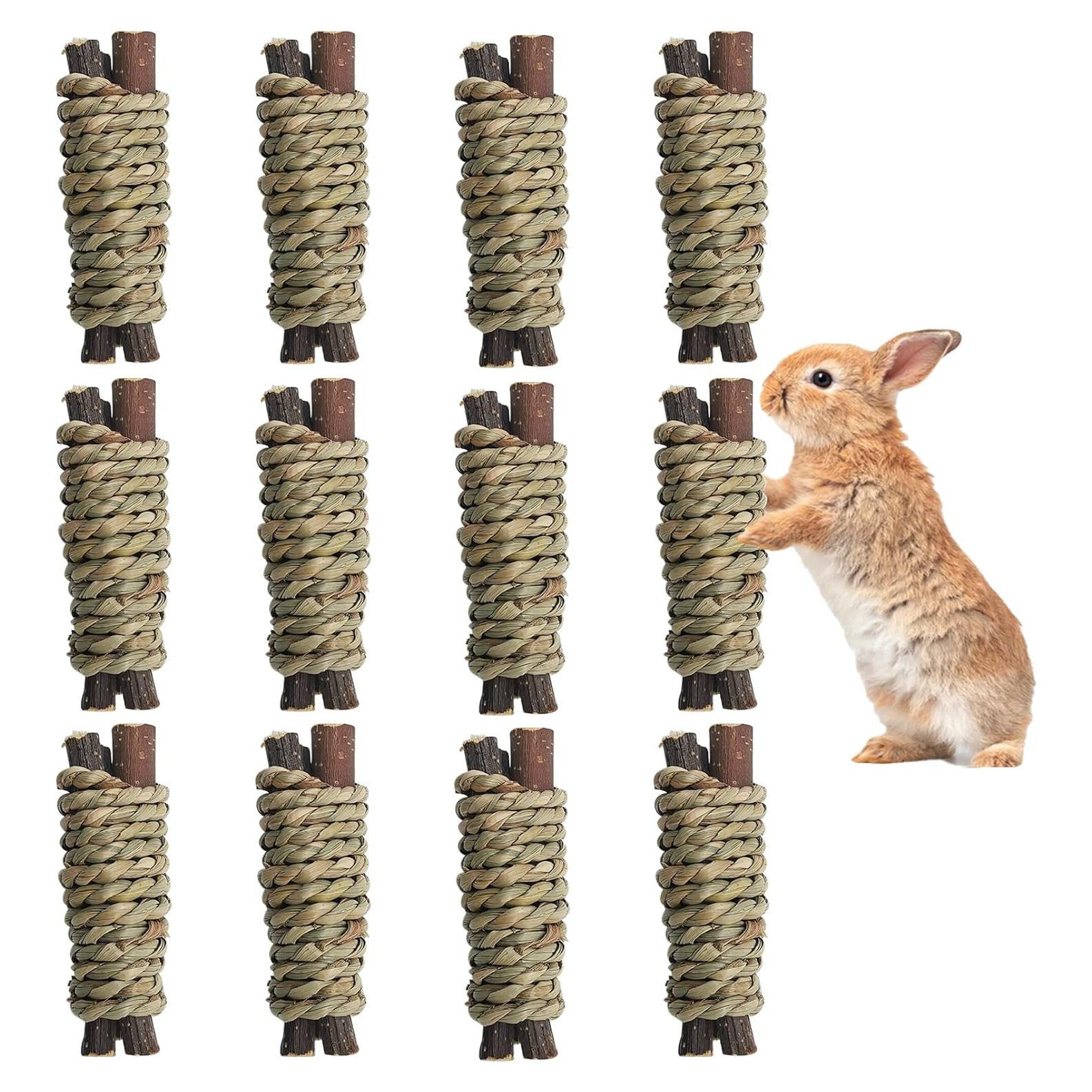 Fhiny 12 PCS Juguetes Masticables para Conejos y Roedores