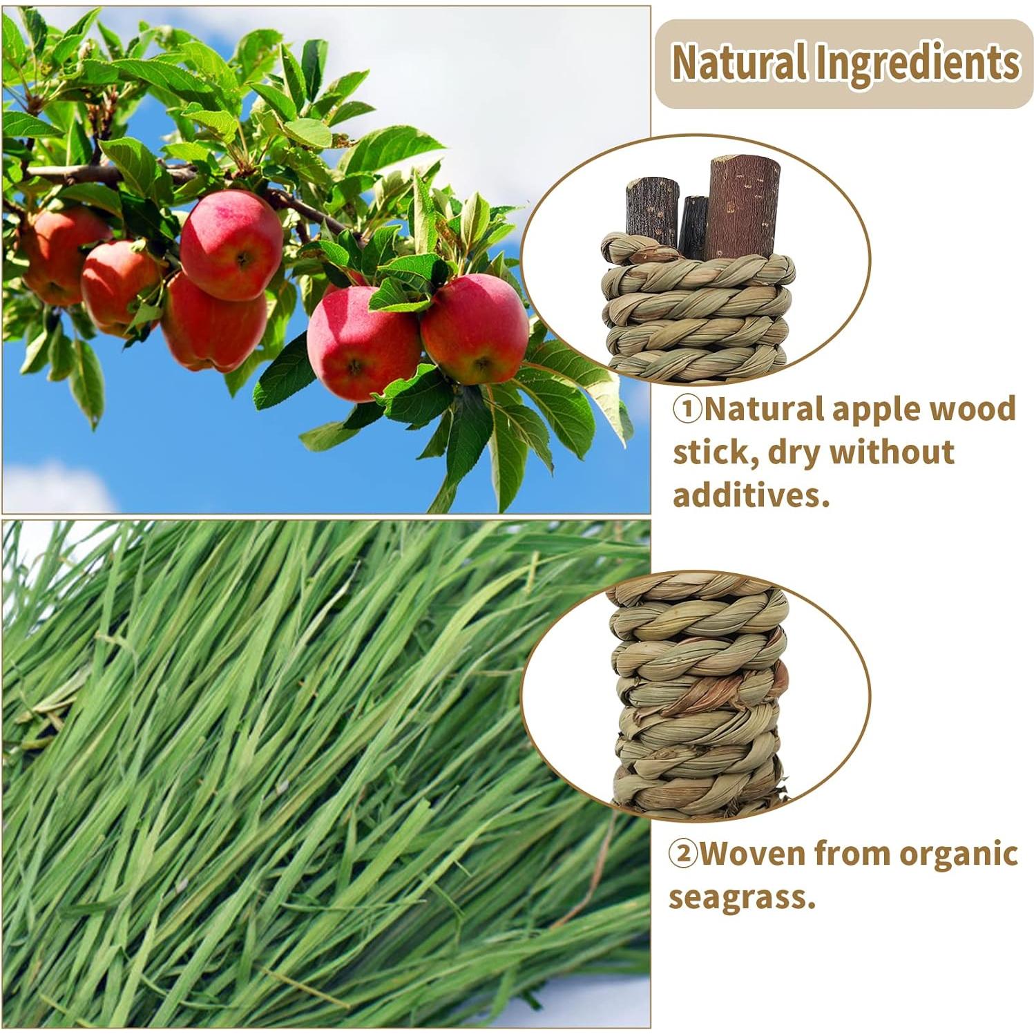 Fhiny 12 PCS Juguetes Masticables para Conejos y Roedores