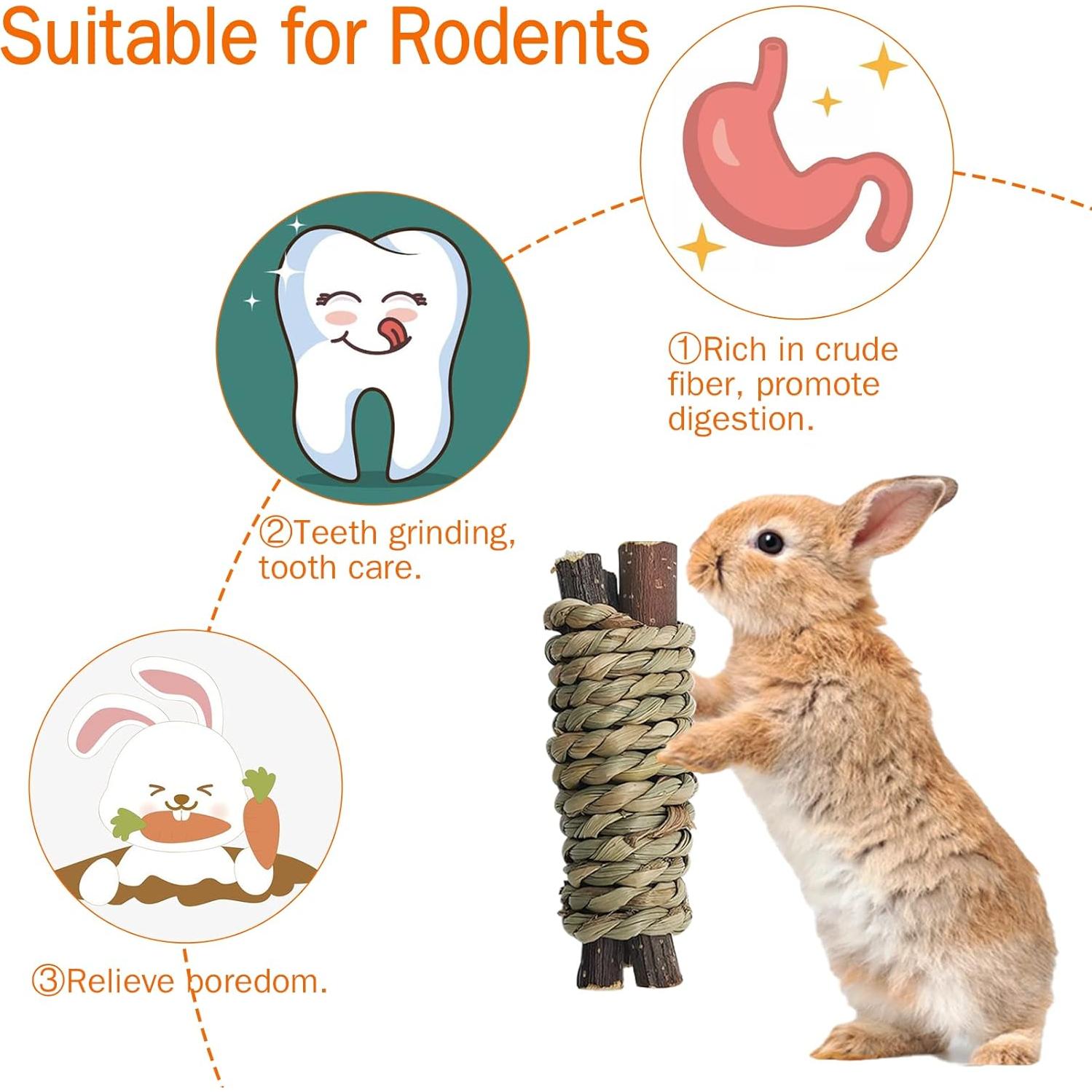 Fhiny 12 PCS Juguetes Masticables para Conejos y Roedores