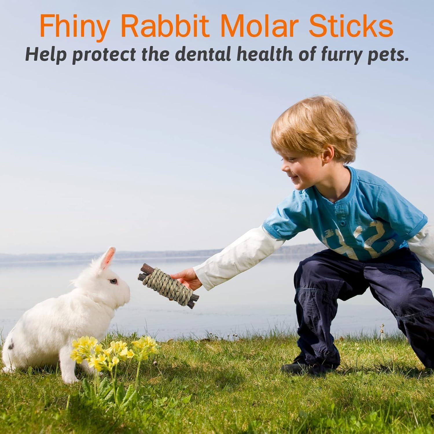 Fhiny 12 PCS Juguetes Masticables para Conejos y Roedores