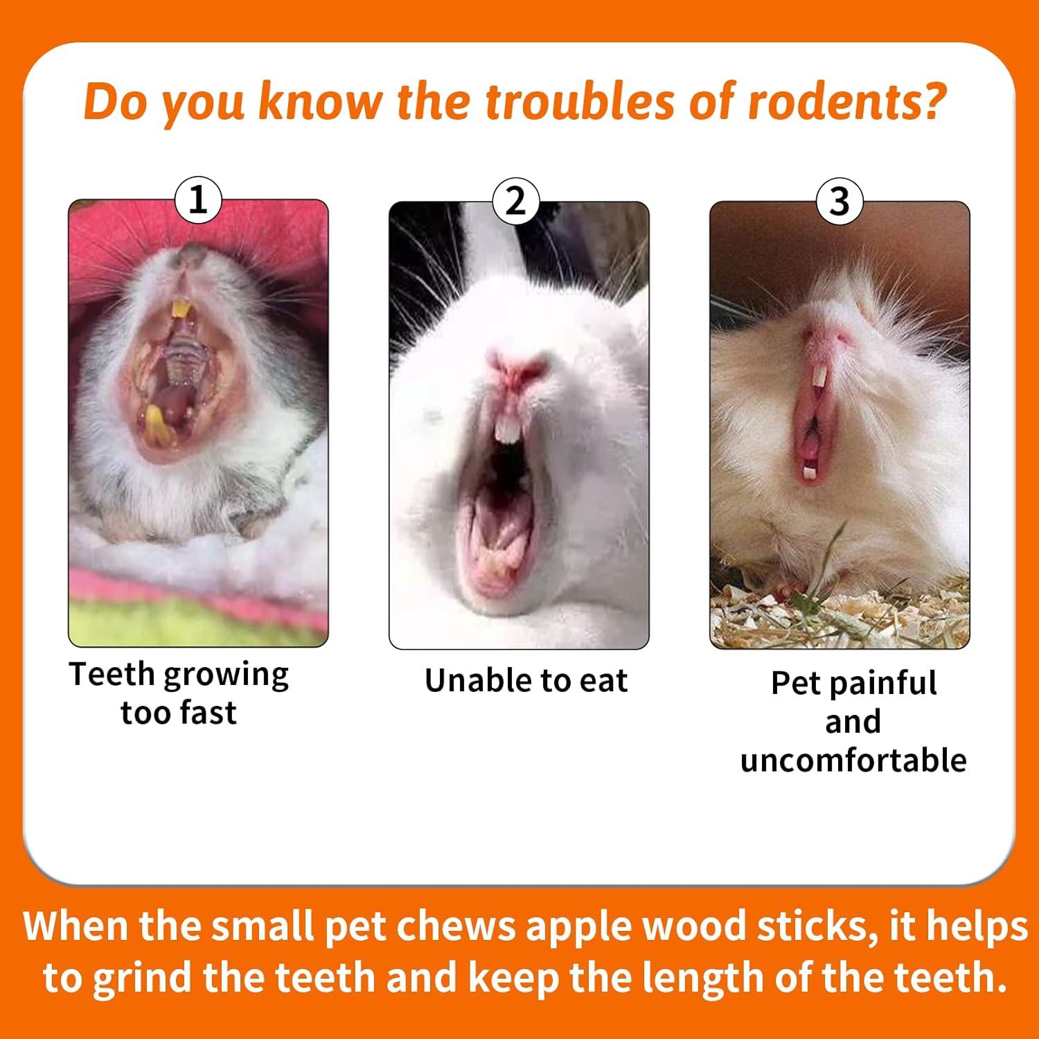 Fhiny 12 PCS Juguetes Masticables para Conejos y Roedores