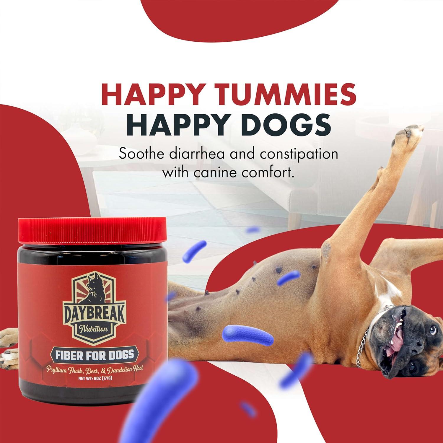 Fibra para Perros Nutrición Daybreak 170g - Psyllium y Prebióticos