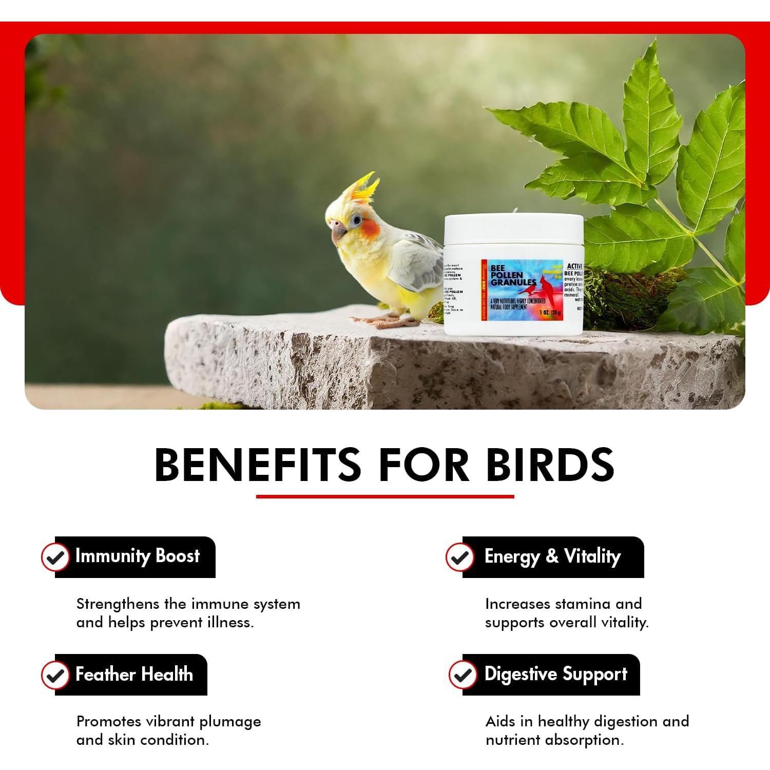 Gránulos de Polen de Abeja Morning Bird 28.35 g - Suplemento Energético