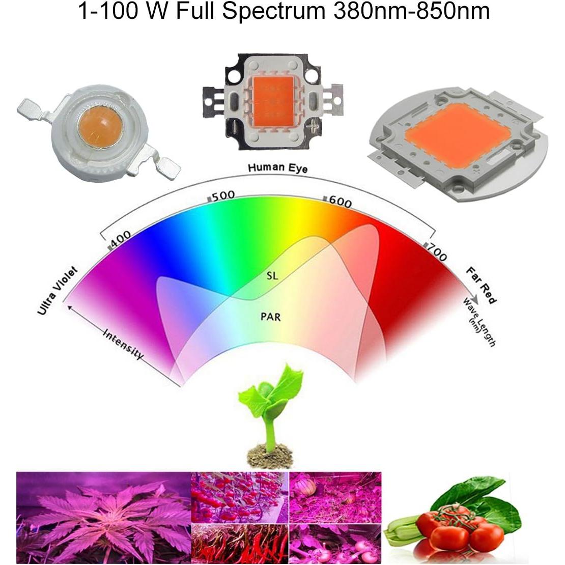 Chip LED de Alta Potencia 100W Chanzon Espectro Completo