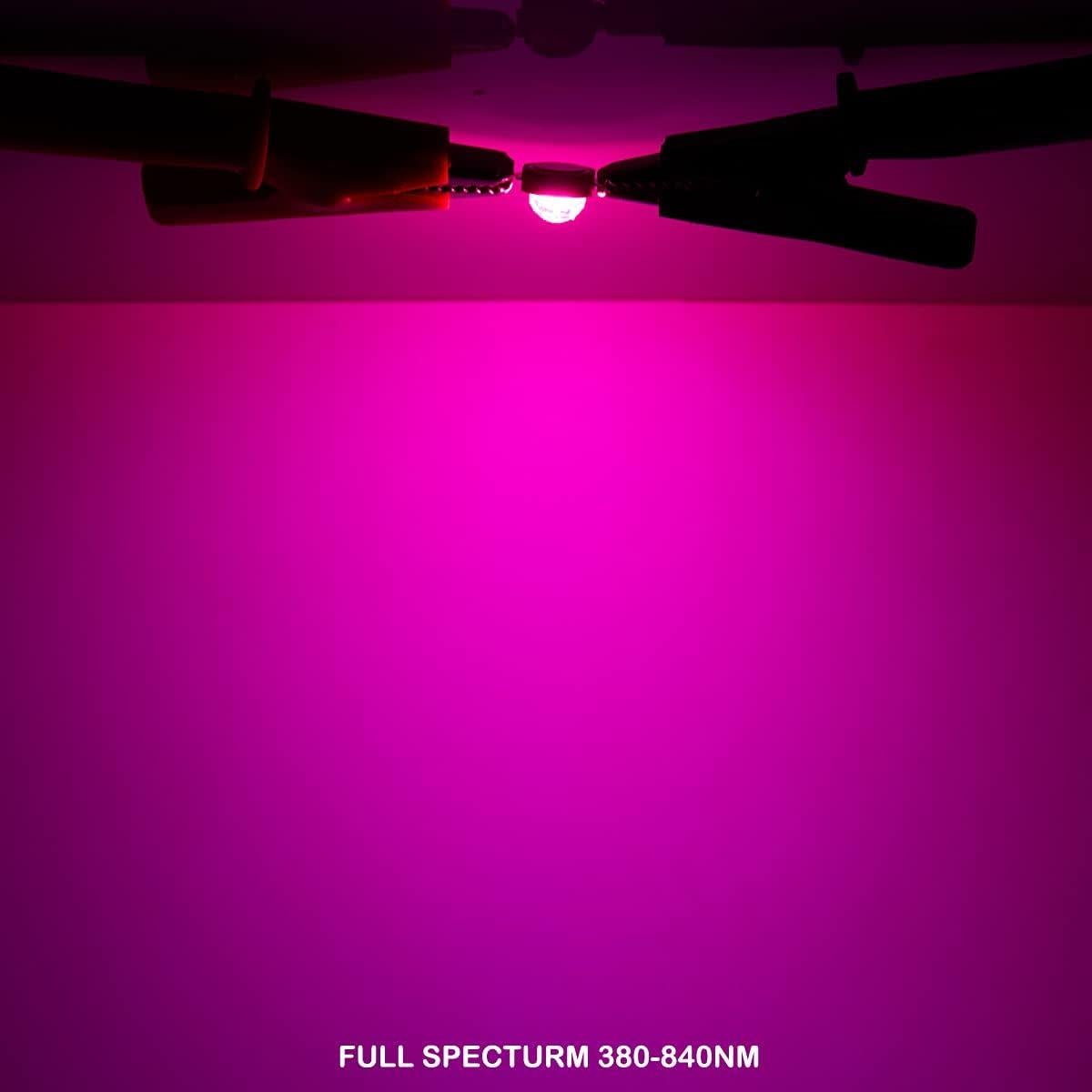 Chip LED de Alta Potencia 100W Chanzon Espectro Completo