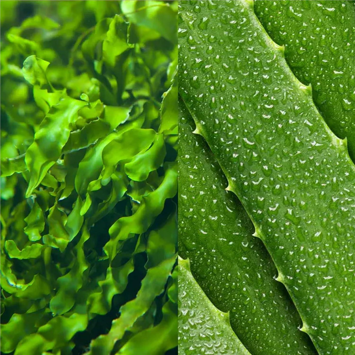 Loción Limpiadora de Algas Mario Badescu 227g Piel Seca/Sensible